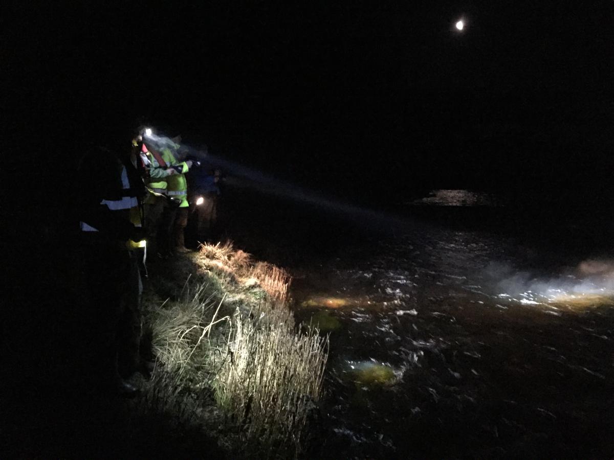 In 2019 GFT were joined by volunteers to observe the night time spawning event.